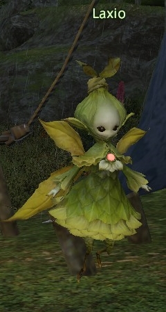 Laxio.jpg