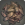 Acacia-Rindeicon.png