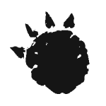 Hippowagen Fußabdruck