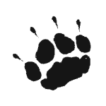 Säbelzahntiger Fußabdruck