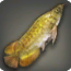 Goldschuppen-Arowana