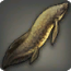 Mond-Lungenfisch