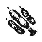 Saikrii Fußabdruck