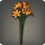 Orangene Triteleia