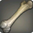 Hammerschnabel-Rippe