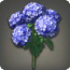 Blaue Hortensien