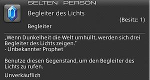 Begleiter des Lichts.jpg